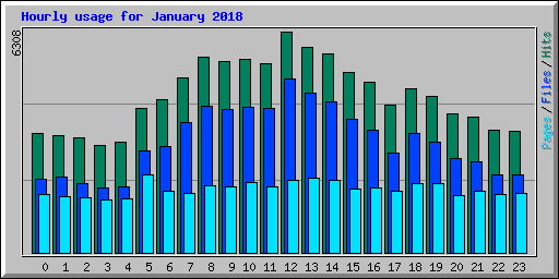 Hourly usage for January 2018