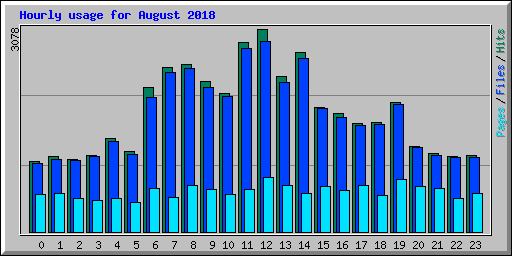 Hourly usage for August 2018